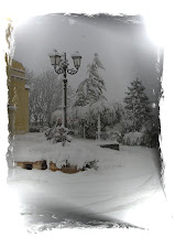 Nevicata Nov.'08