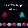 CHALLENGE AWARDS