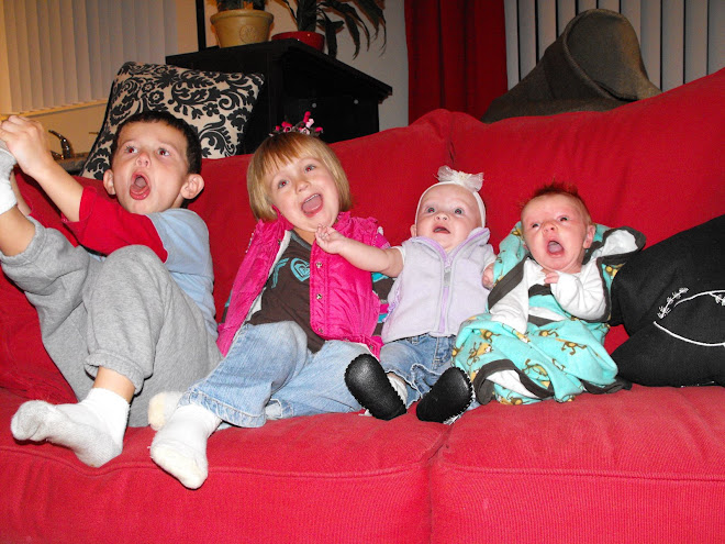 The Fredrickson Family Great-Grandchildren... Jack, Kentli, Tylee & Ernie