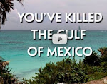 YOU'VE KILLED THE GULF OF MEXICO (VIDEO)