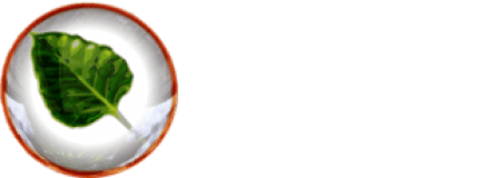 Bodhi Linux