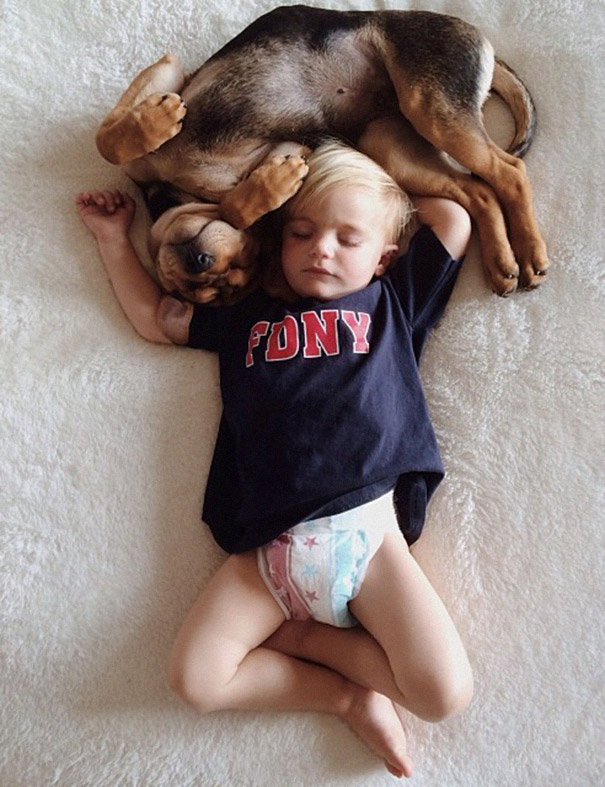 toddler-naps-with-puppy-theo-and-beau-2-