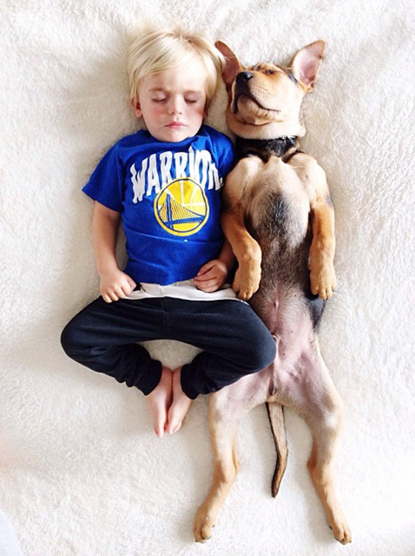 toddler-naps-with-puppy-theo-and-beau-2-