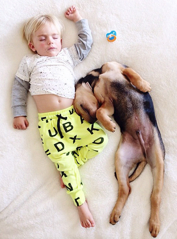 toddler-naps-with-puppy-theo-and-beau-2-