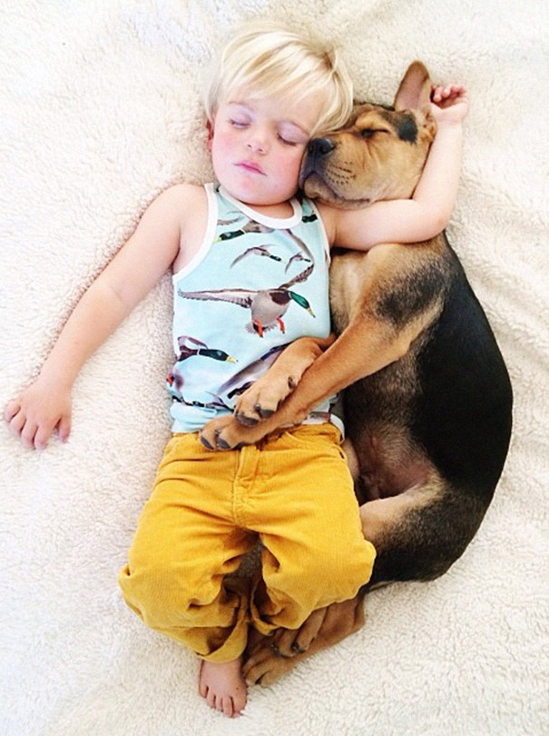 toddler-naps-with-puppy-theo-and-beau-2-