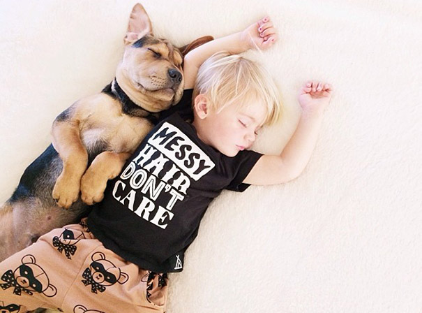 toddler-naps-with-puppy-theo-and-beau-2-