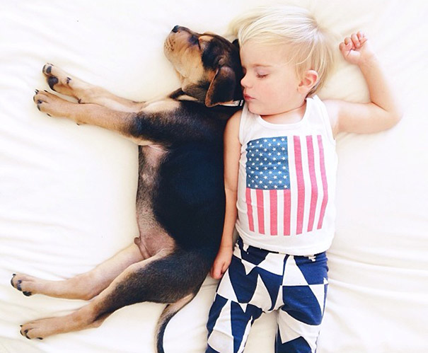 toddler-naps-with-puppy-theo-and-beau-2-