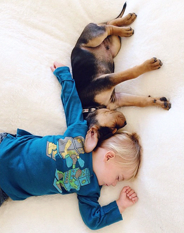 toddler-naps-with-puppy-theo-and-beau-2-