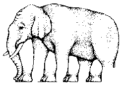 Dancing Elephant