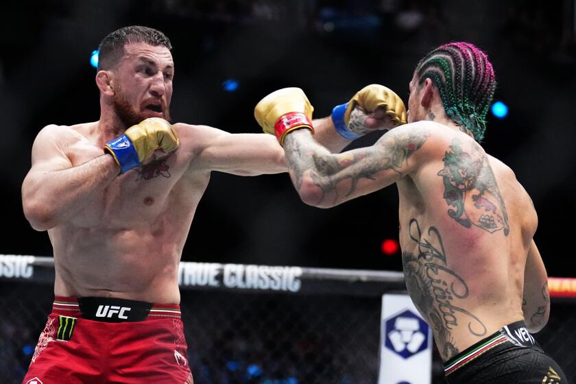 LAS VEGAS, NEVADA - SEPTEMBER 14: (L-R) Merab Dvalishvili of Georgia trades punches with Sean O'Malley.