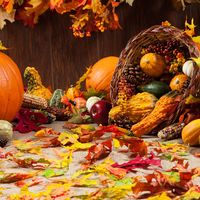 autumn, fall, pumpkins, cornucopia, gords, thanksgiving, leaf