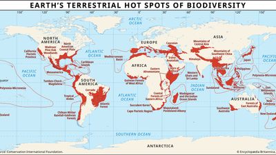 terrestrial hot spots of biodiversity