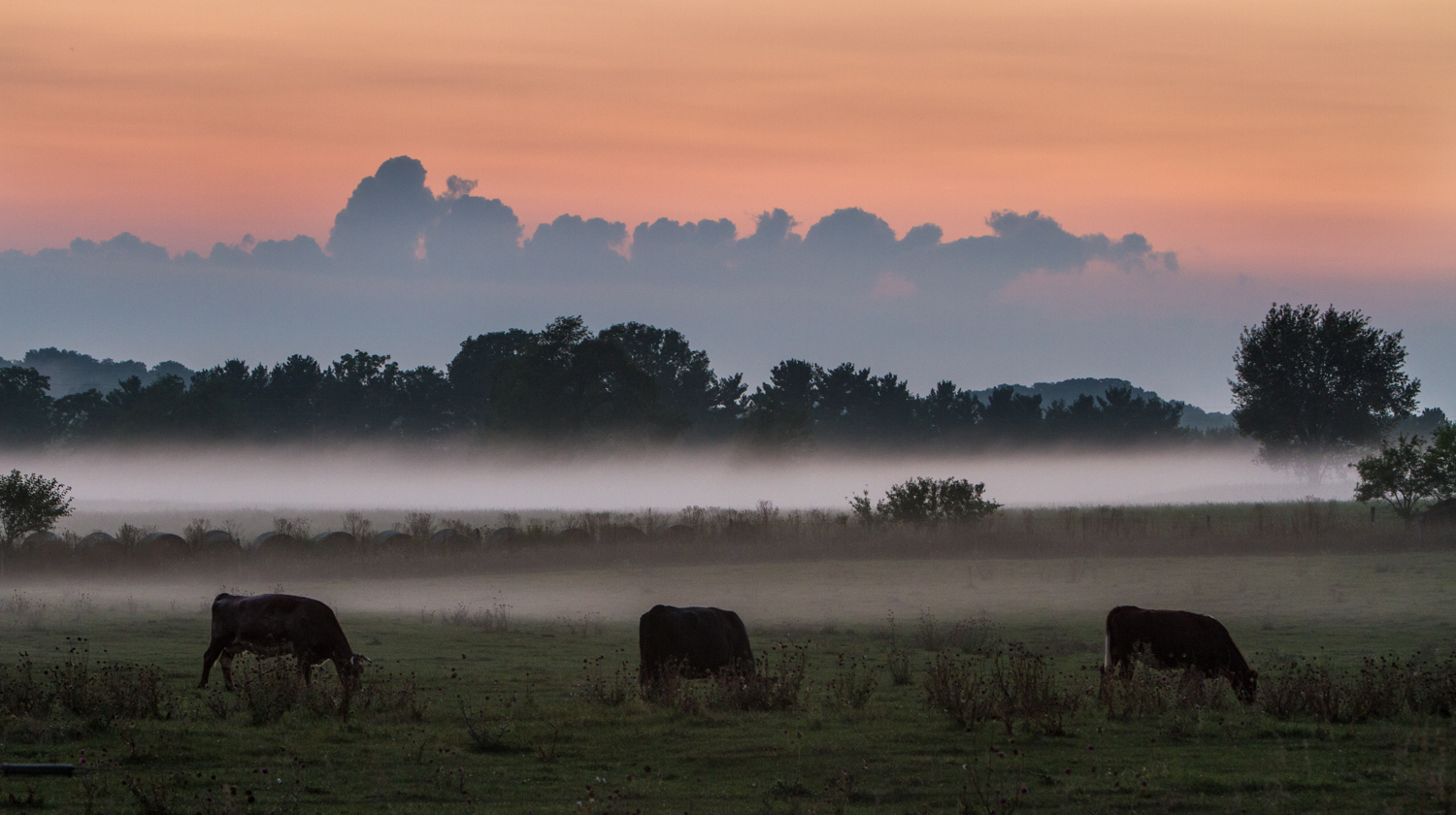 20170829mist-21-4