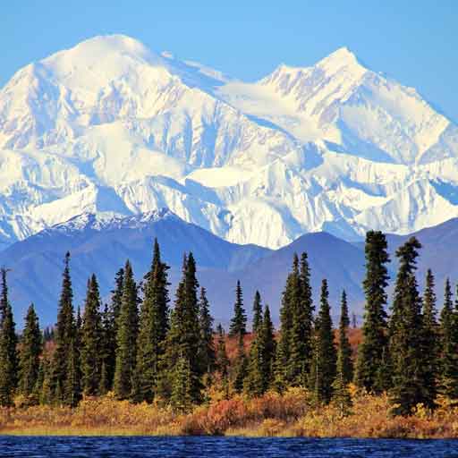 Snow-capped mountains loom above a line of evergreen trees near an Alaskan campground