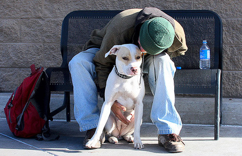 Homeless man and dog