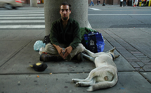 Homeless man and dog