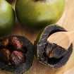 BLACK SAPOTE