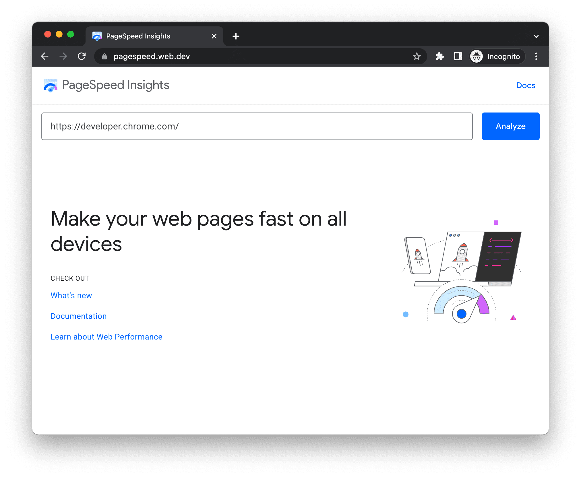 ממשק המשתמש של PageSpeed Insights