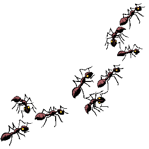 ant%20clipart%20