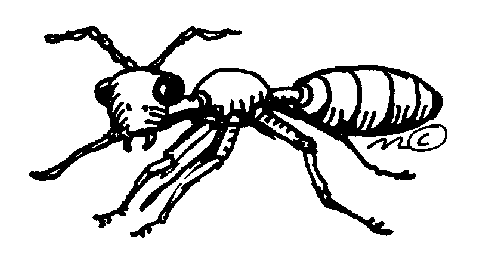 ant%20clipart%20