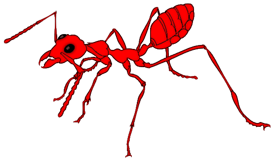 ant%20clipart%20