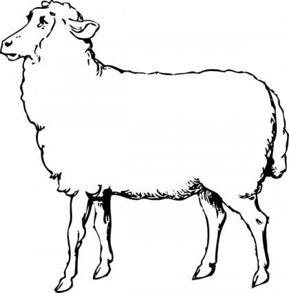 black%20sheep%20clipart