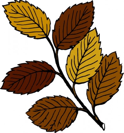 branch%20clipart