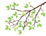 branch%20clipart