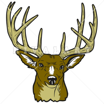 buck%20clipart