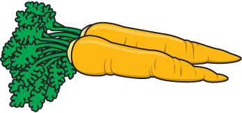 carrot%20clipart