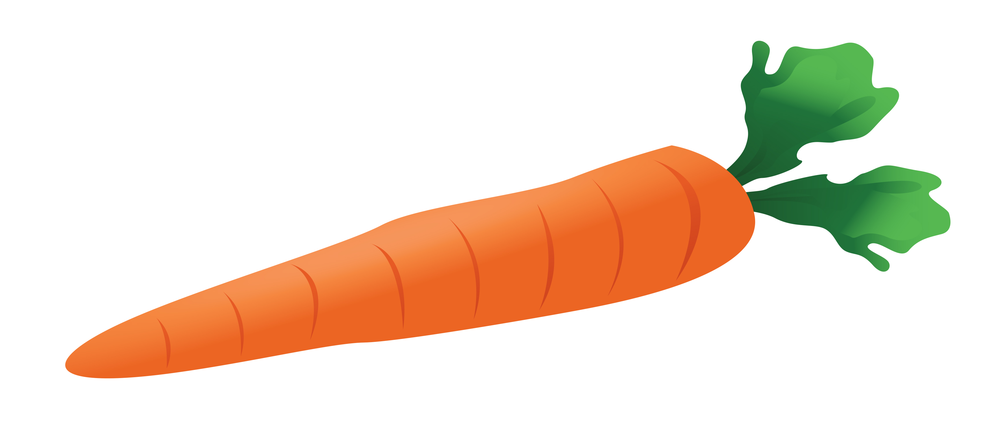 carrot%20clipart