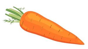 carrot%20clipart