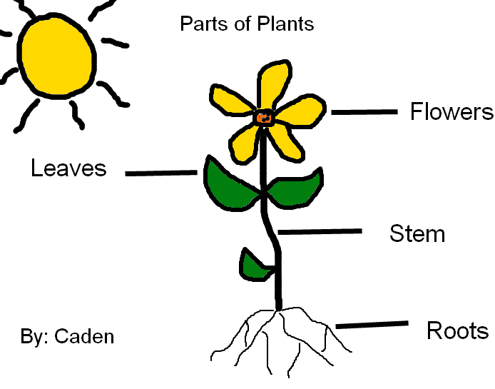 computer%20lab%20drawing