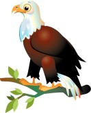 cute%20eagle%20clipart