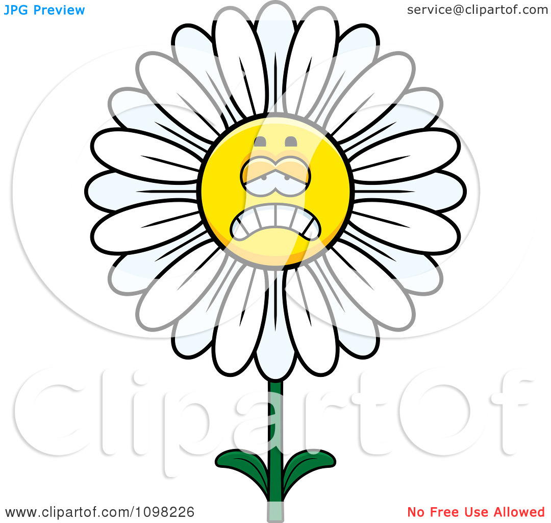 Daisy Flower Clip Art