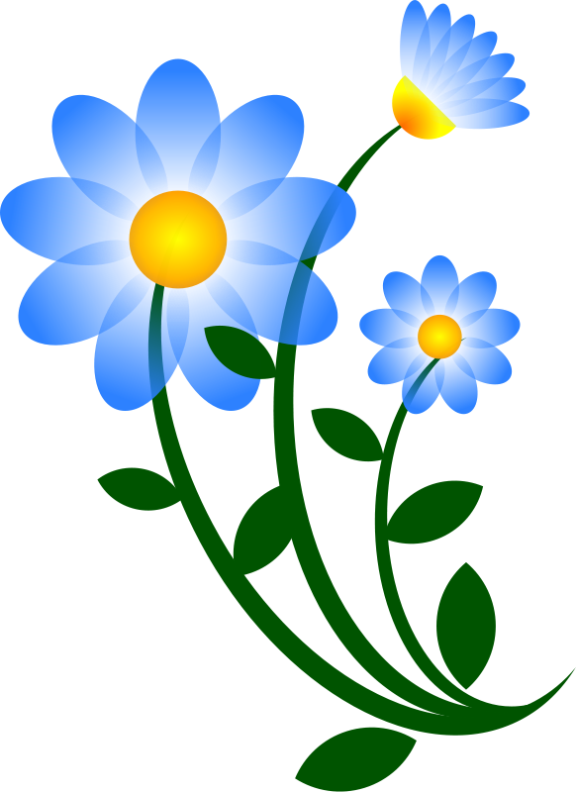 Daisy Flower Clipart