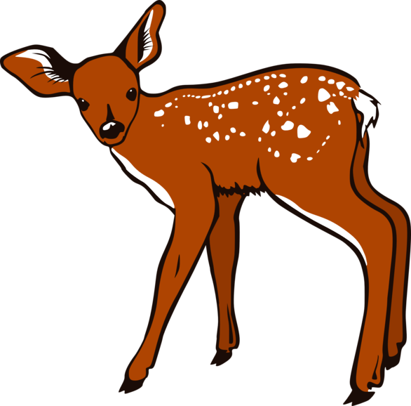 Deer Clip Art