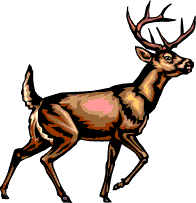 Deer Clip Art