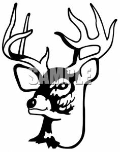 Deer Clip Art