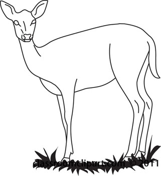 Deer Clip Art