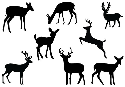 Deer Clipart