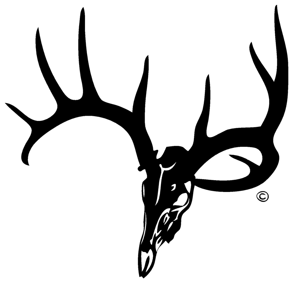 deer%20skull%20clipart