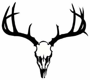 deer%20skull%20clipart