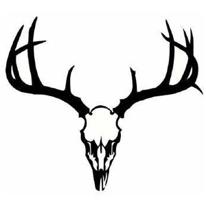 deer%20skull%20clipart