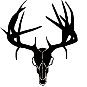 deer%20skull%20clipart