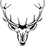 deer%20skull%20clipart