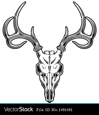 deer%20skull%20clipart