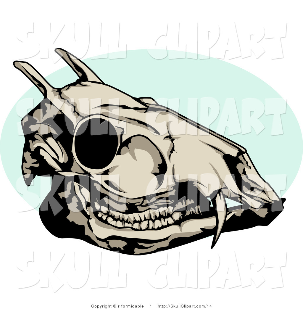 deer%20skull%20clipart