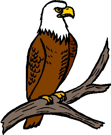 Eagle Clip Art