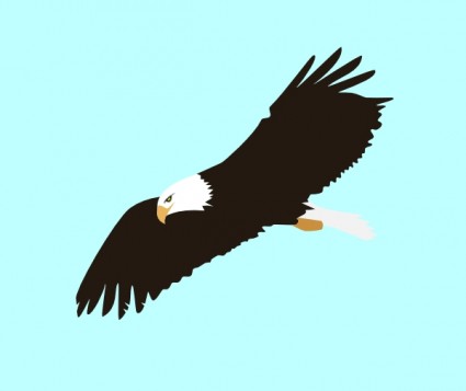 eagle%20flying%20clipart%20black%20and%20white